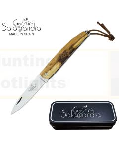 Salamandra A100181 Juniper Wood Pocket Knife 175mm