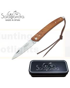 Salamandra A160041 Yew Wood Pocket Knife 175mm