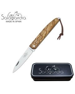 Salamandra A100011 Olive Wood Pocket Knife 175mm