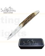 Salamandra A100061 Stag Pocket Knife 175mm
